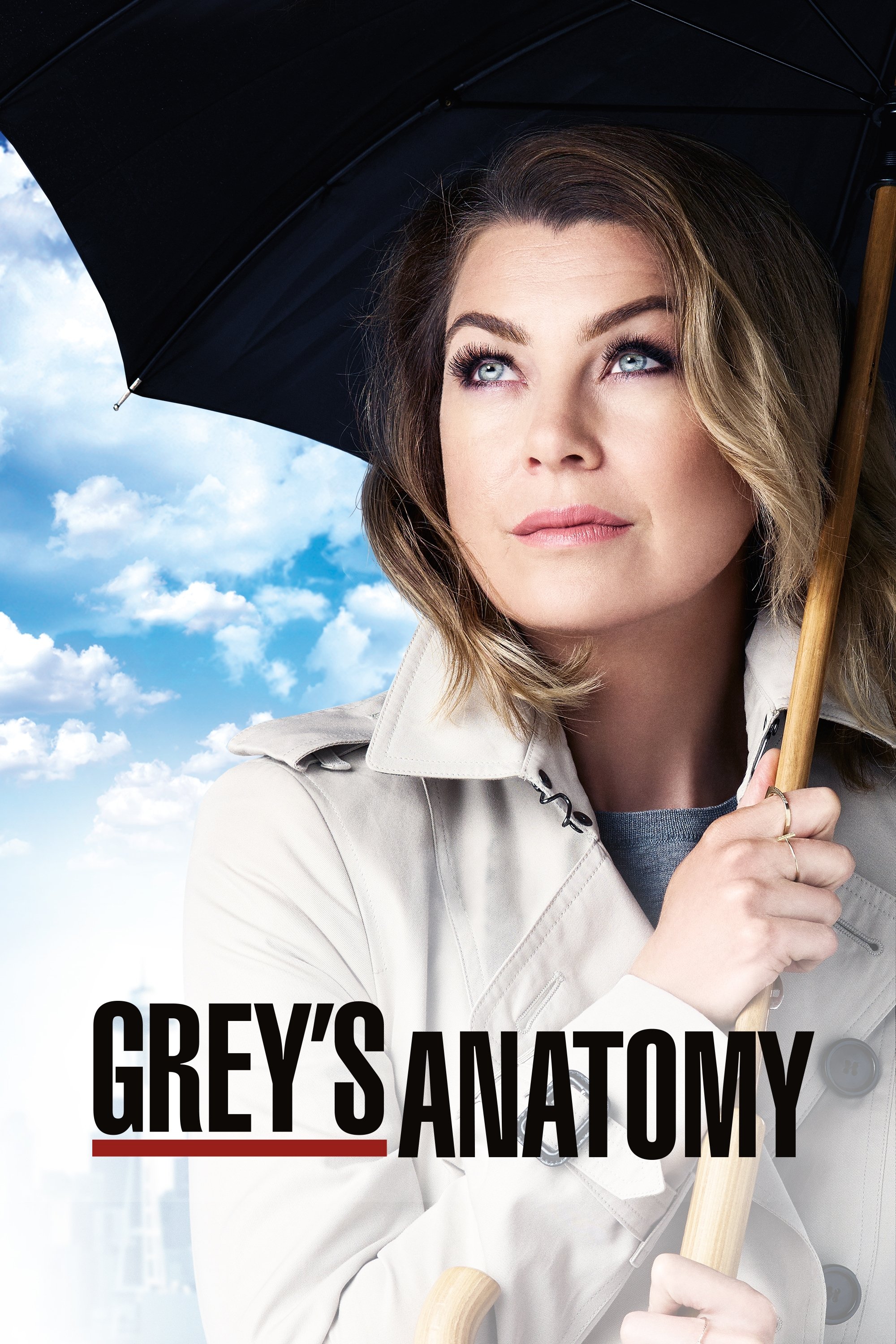 Grey\'s Anatomy (2005 TV Series)